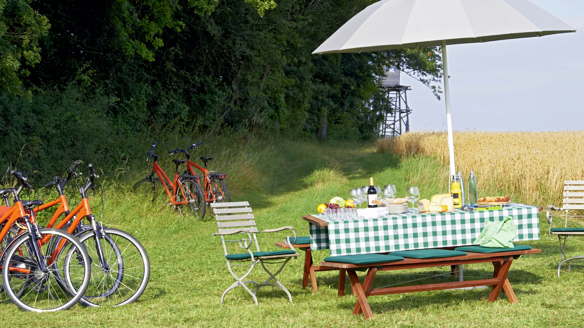 Kloster Hornbach: Ihr fahrradfreundliches Hotel in der Pfalz Picknicktisch mit grün-weiß kariertem Tuch, Sonnenschirm und roten Fahrrädern auf Wiese