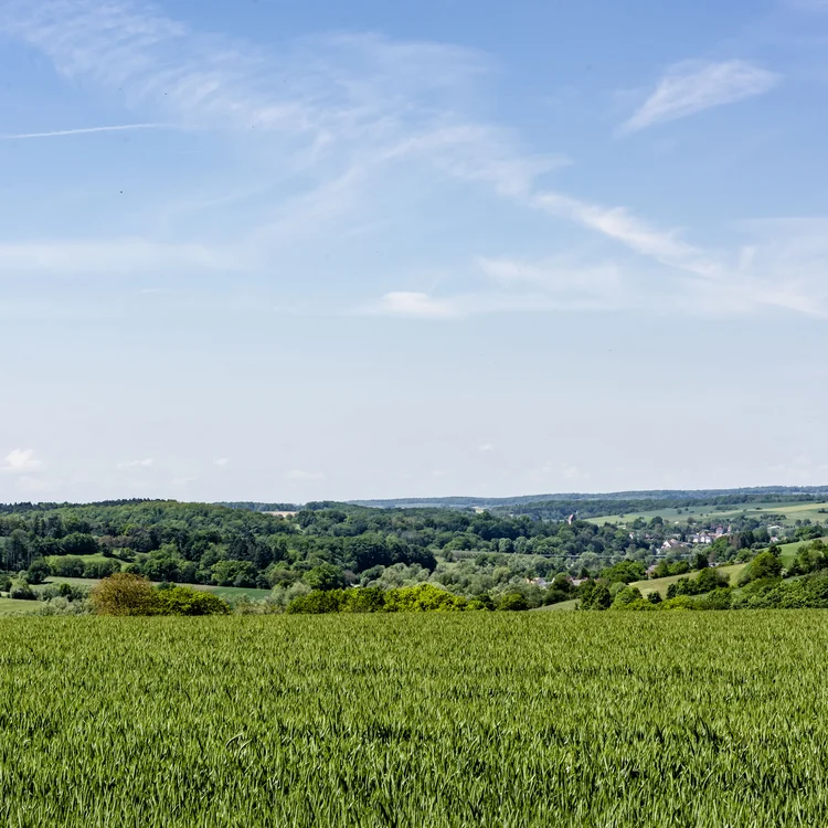 Treffpunkt, Kraftplatz und Hotel in Hornbach Grünes Feld mit Wald und Dorf unter blauem Himmel