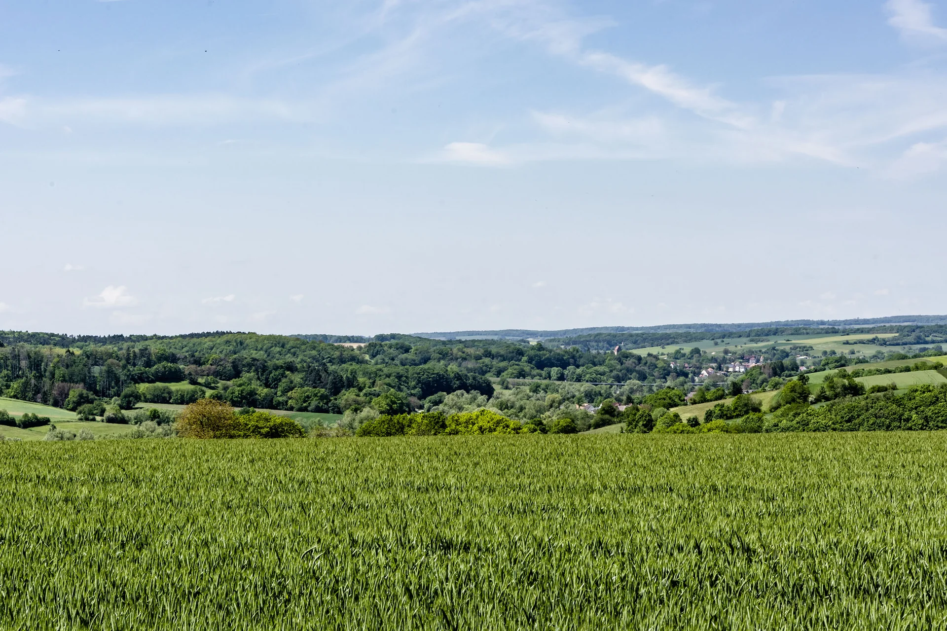 Treffpunkt, Kraftplatz und Hotel in Hornbach Grünes Feld mit Wald und Dorf unter blauem Himmel