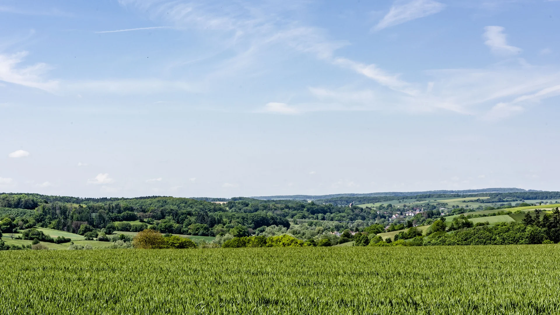 Ausflugstipps für Ihren Urlaub in der Pfalz Grünes Feld mit Wald und Dorf unter blauem Himmel