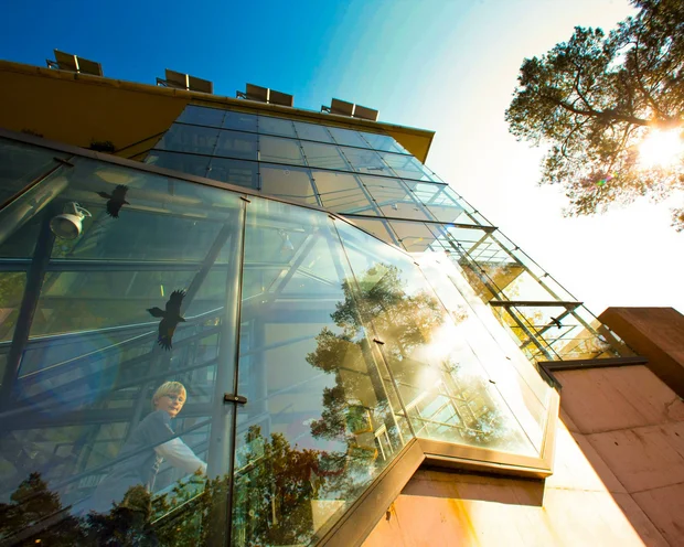 Ausflugstipps für Ihren Urlaub in der Pfalz Moderne Glasfassade mit Reflexionen, Person treppt ein, sonniger Himmel