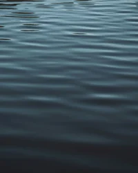 Kloster Hornbach: Ihre Ansprechperson für Medienanfragen Wellenbewegungen auf der dunklen Wasseroberfläche