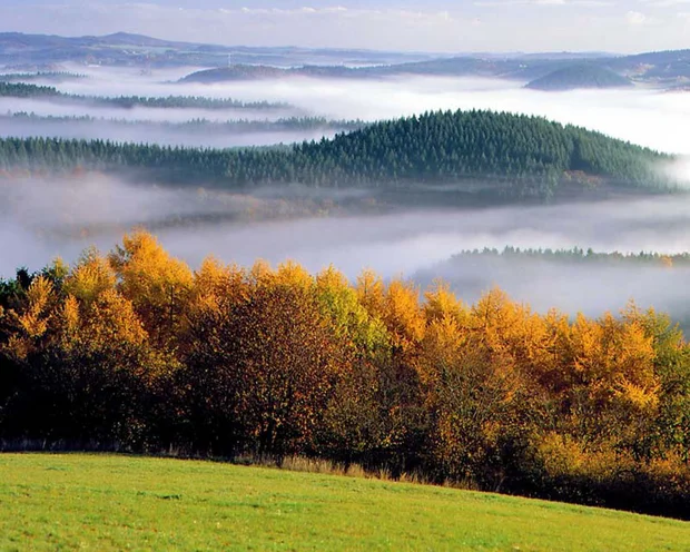 Ausflugstipps für Ihren Urlaub in der Pfalz Herbstwald mit bunten Bäumen und nebligen Hügeln im Hintergrund