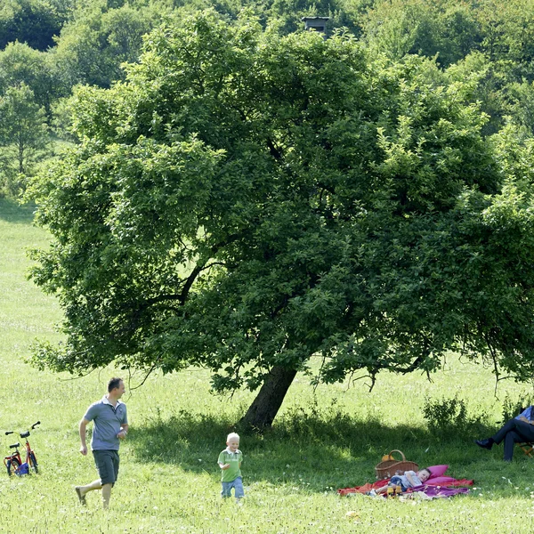 Inklusivleistungen im Kloster Hornbach und im Lösch Familie mit Kindern macht Picknick und spielt unter einem großen Baum auf der Wiese