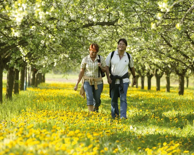 Ausflugstipps für Ihren Urlaub in der Pfalz Zwei Menschen spazieren durch blühende Obstbäume und Wiese voller gelber Blumen