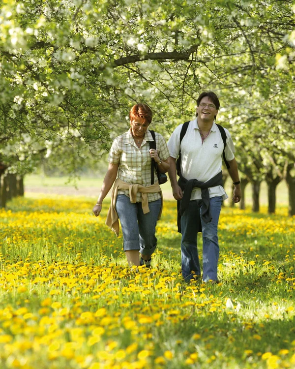 Ihr Urlaub im Klosterhotel an der Deutschen Weinstraße Zwei Menschen spazieren durch blühende Obstbäume und Wiese voller gelber Blumen