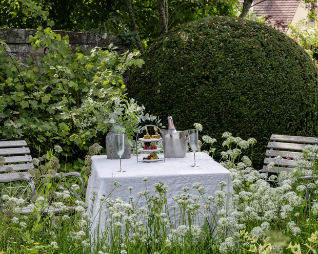 Our venue, your dream wedding Garden table set with champagne and snacks amid green plants and flowers