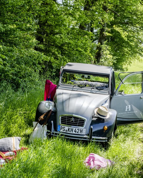 Treffpunkt, Kraftplatz und Hotel in Hornbach Picknick mit Wein neben einem grauen Oldtimer-Auto auf grüner Wiese
