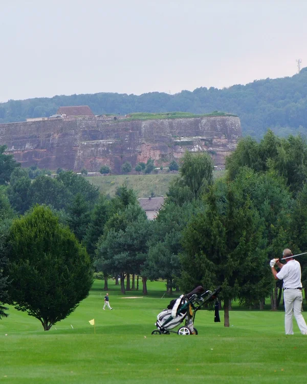 Golfen im Saarland, in Frankreich und in der Pfalz Golfer auf einem Golfplatz mit Bäumen und einer Burg im Hintergrund