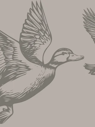 Treffpunkt, Kraftplatz und Hotel in Hornbach Illustration zweier fliegender Enten mit ausgebreiteten Flügeln