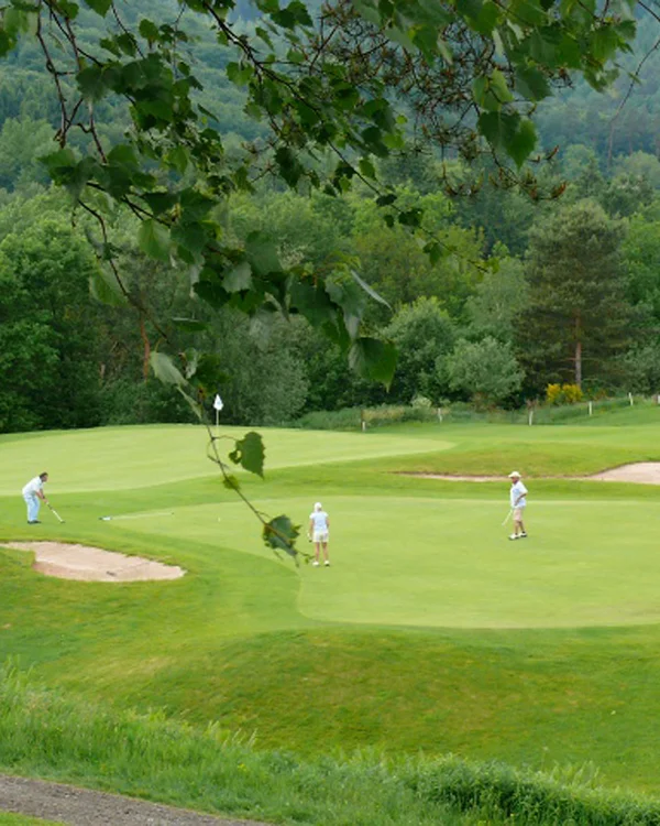 Aktivurlaub in der Pfalz – Wandern, Radfahren und Golfen rund ums Kloster Hornbach und das Lösch Golfspieler auf einem grünen Golfplatz umgeben von Bäumen