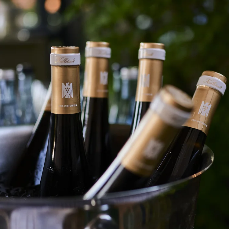 Treffpunkt, Kraftplatz und Hotel in Hornbach Mehrere Weinflaschen im Eiskübel vor unscharfem Hintergrund